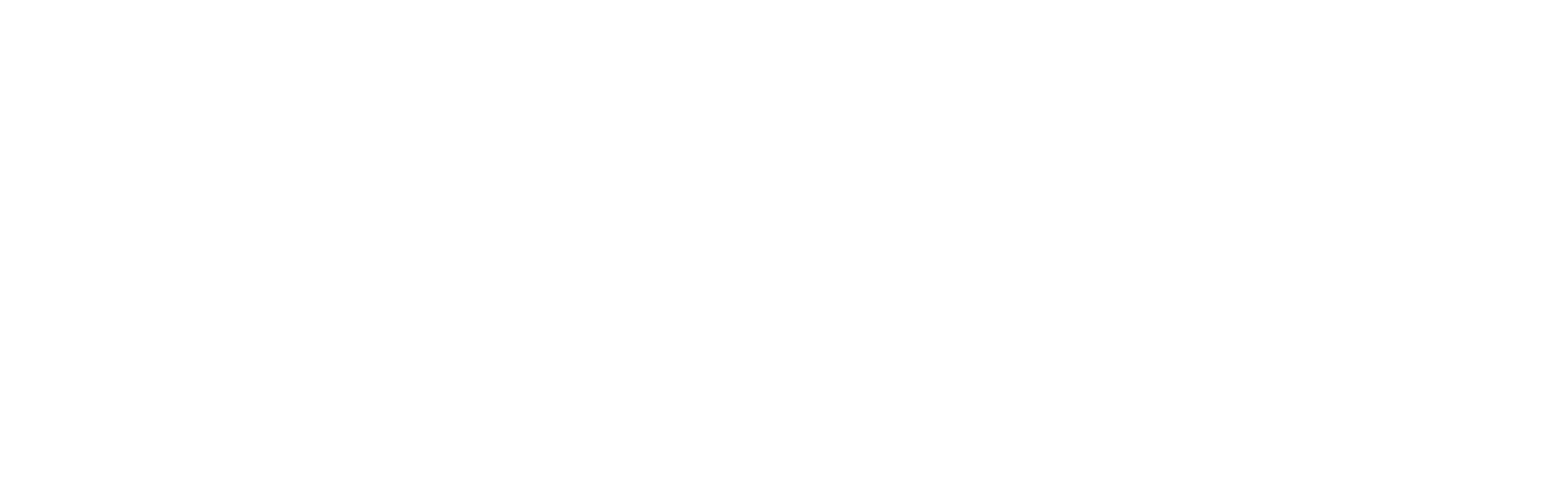 vitaRay logo